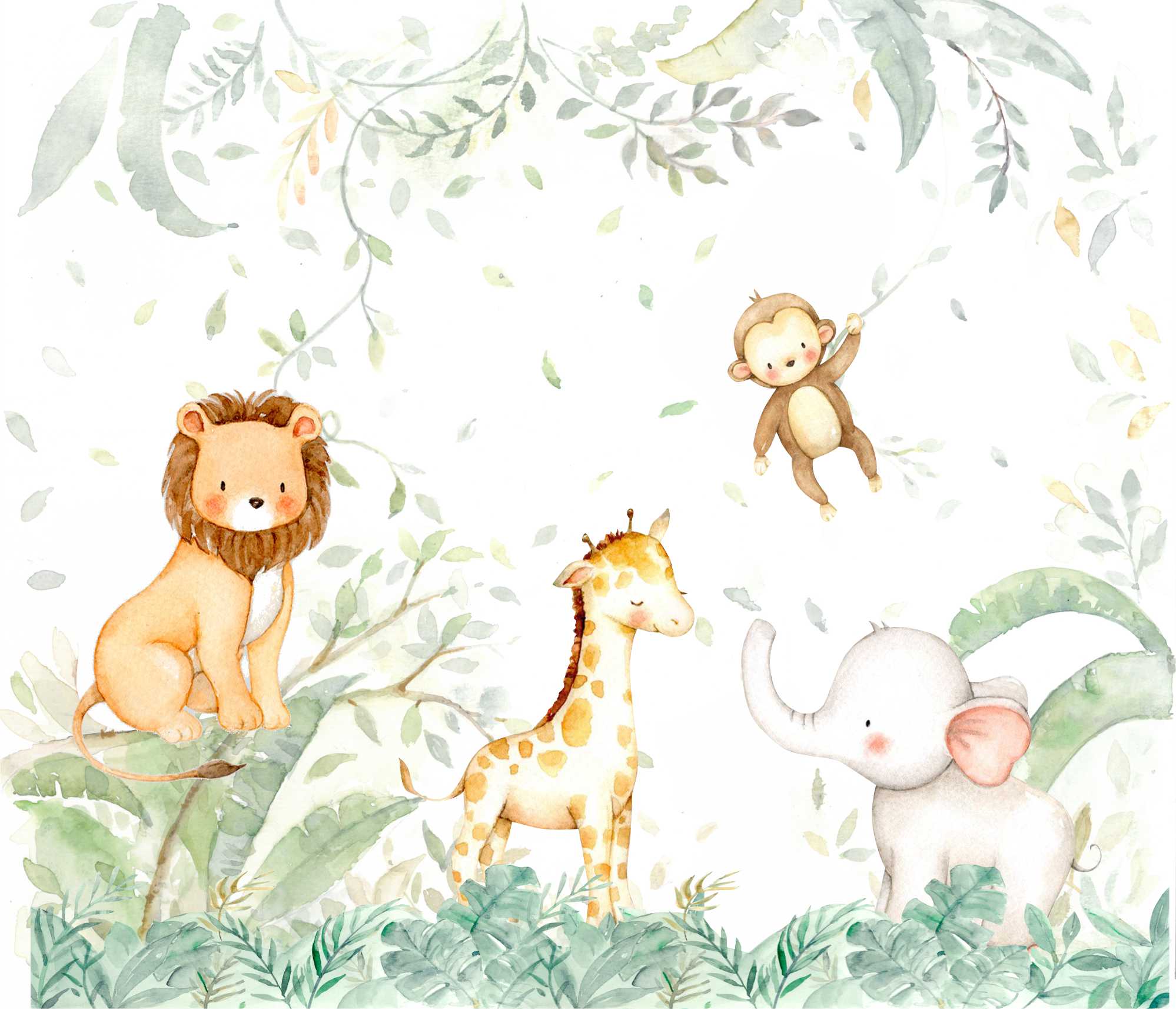 Papel De Parede 800x480 Papel De Parede Safari