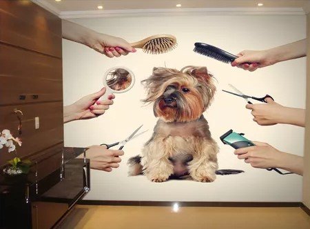 PAPEL DE PAREDE PETSHOP (PERSONALIZADO)