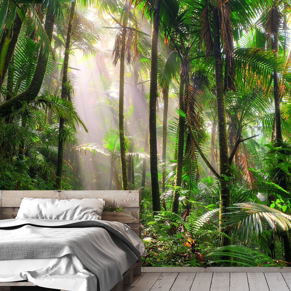 PAPEL DE PAREDE PAISSAGENS FLORESTA