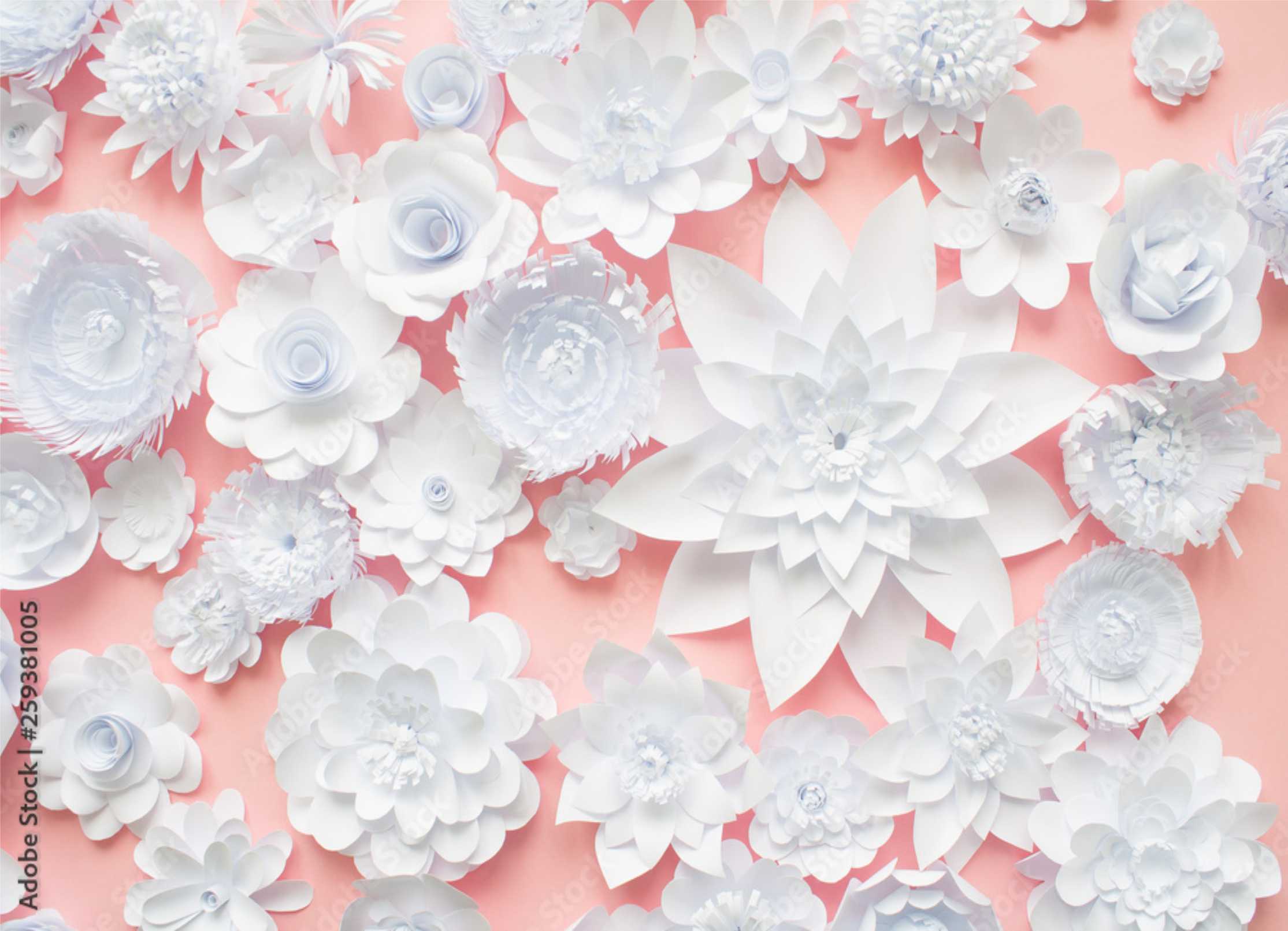 PAPEL DE PAREDE FLORES 3D COM FUNDO ROSA