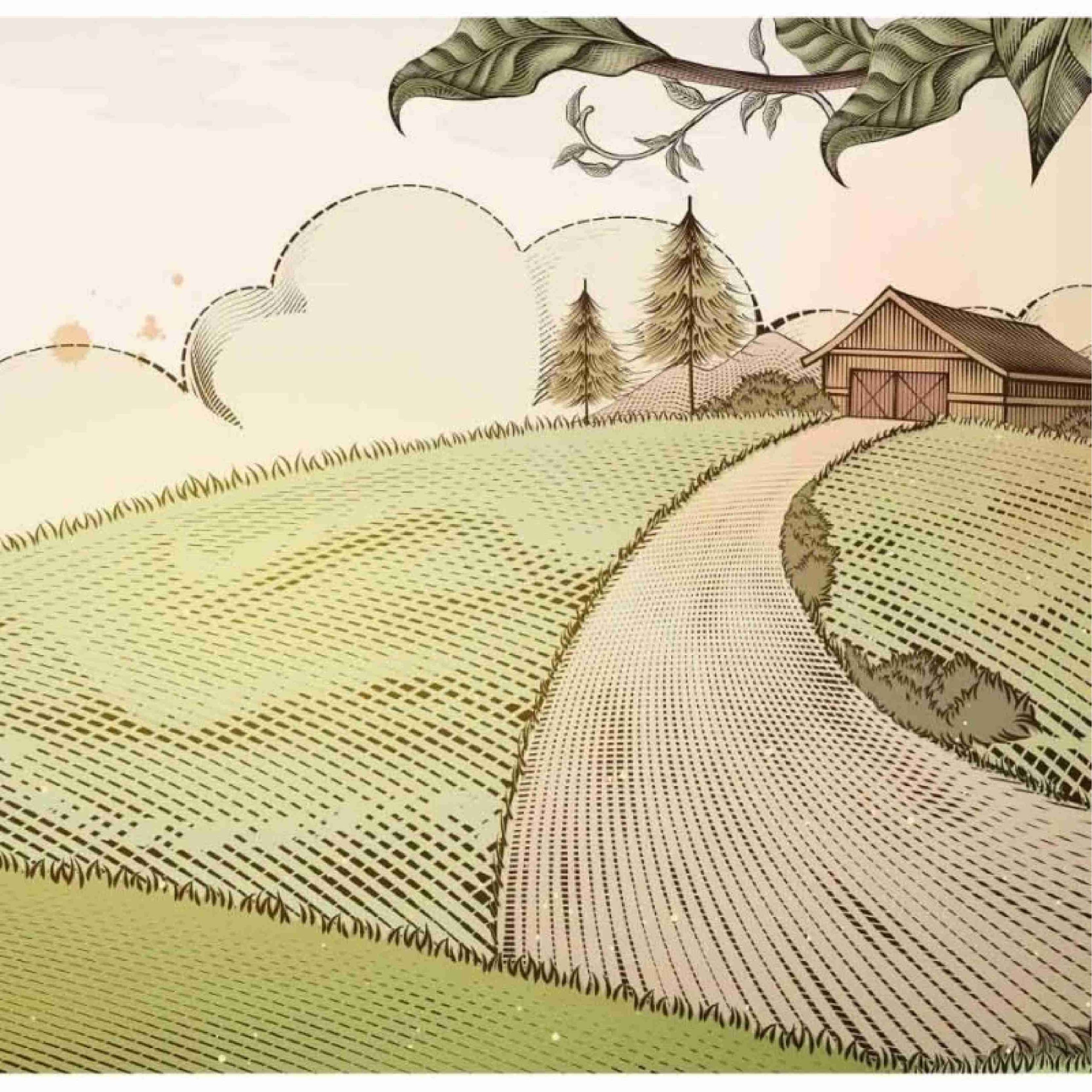 PAPEL PAREDE FAZENDA TIPO AQUARELA FAZENDINHA