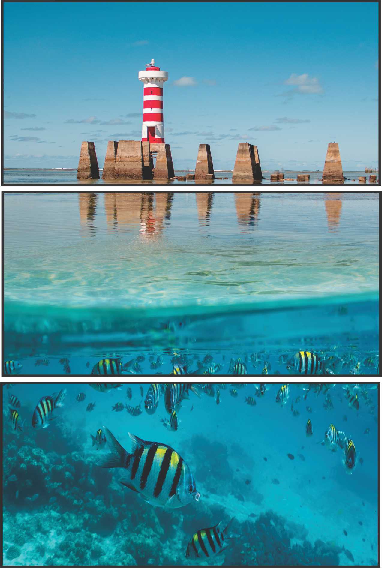 QUADRO FAROL PONTA VERDE MACEIÓ