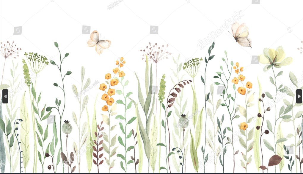 PAPEL DE PAREDE FLORAL PISO TETO COM BORBOLETAS AQUARELA - LINDO!