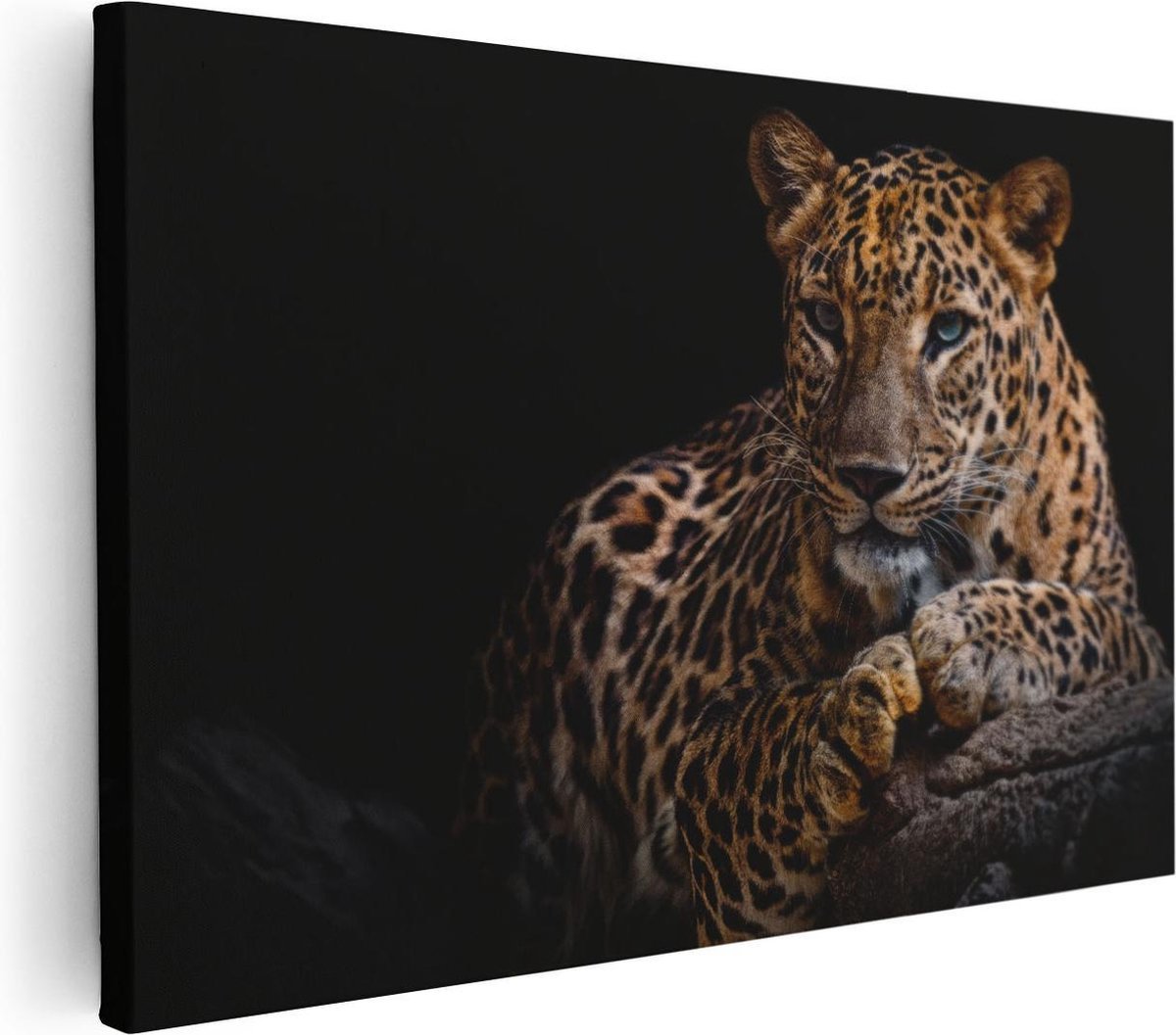 QUADRO CANVAS ONÇA - 1.40 X 90