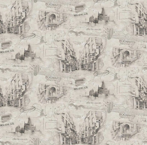 Papel de Parede Harry Potter