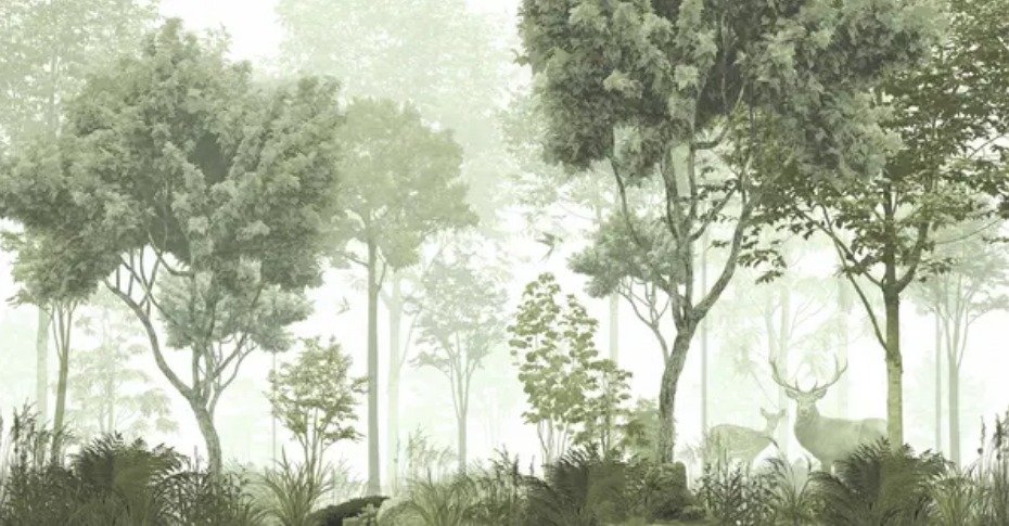 PAPEL PAREDE NATUREZA FLORESTA
